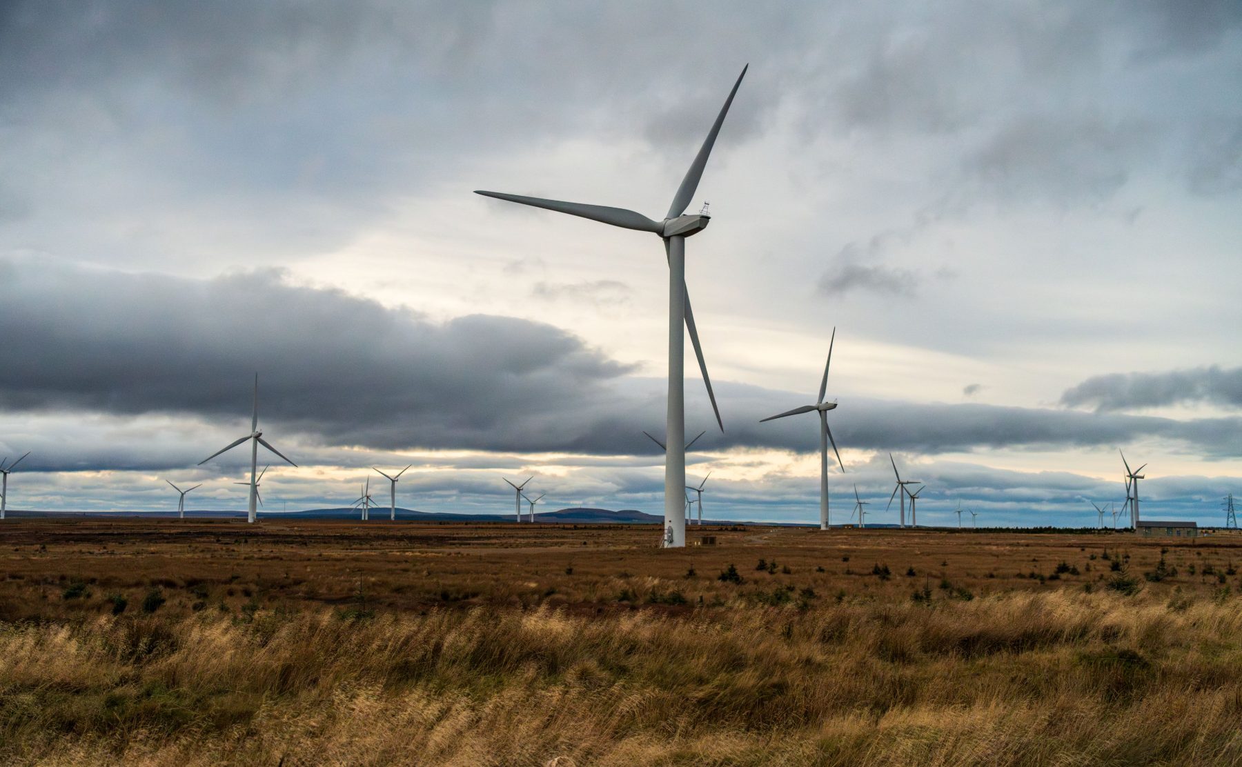 Parc éolien terrestre : éoliennes alignées dans un paysage agricole